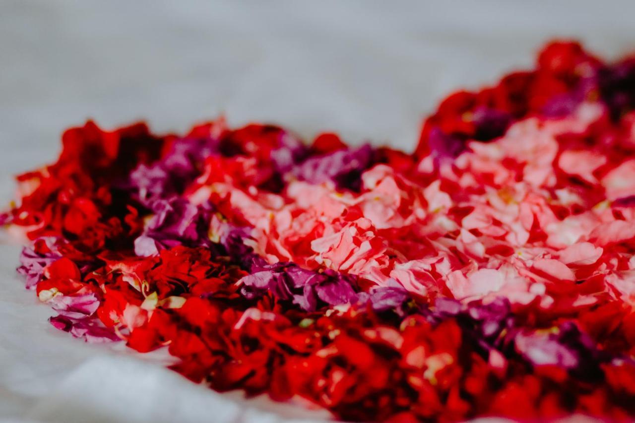 Kurnia Guest House&Spa Sakti Zewnętrze zdjęcie